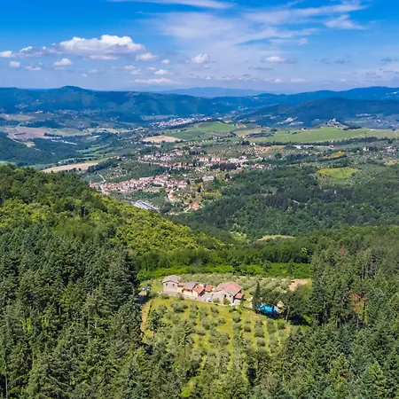 Certina 3 By Interhome Apartment Pelago